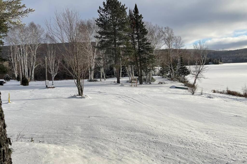 Chalet le Huard directement au bord du lac Saint-Zénon Extérieur photo