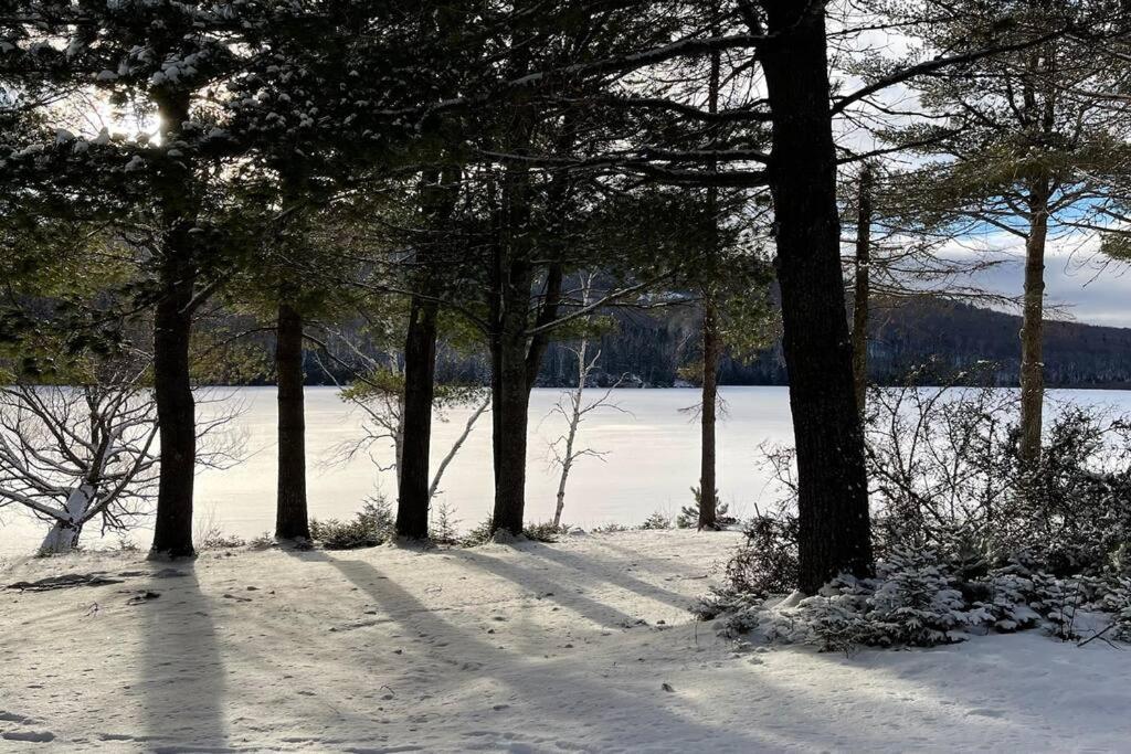 Chalet le Huard directement au bord du lac Saint-Zénon Extérieur photo
