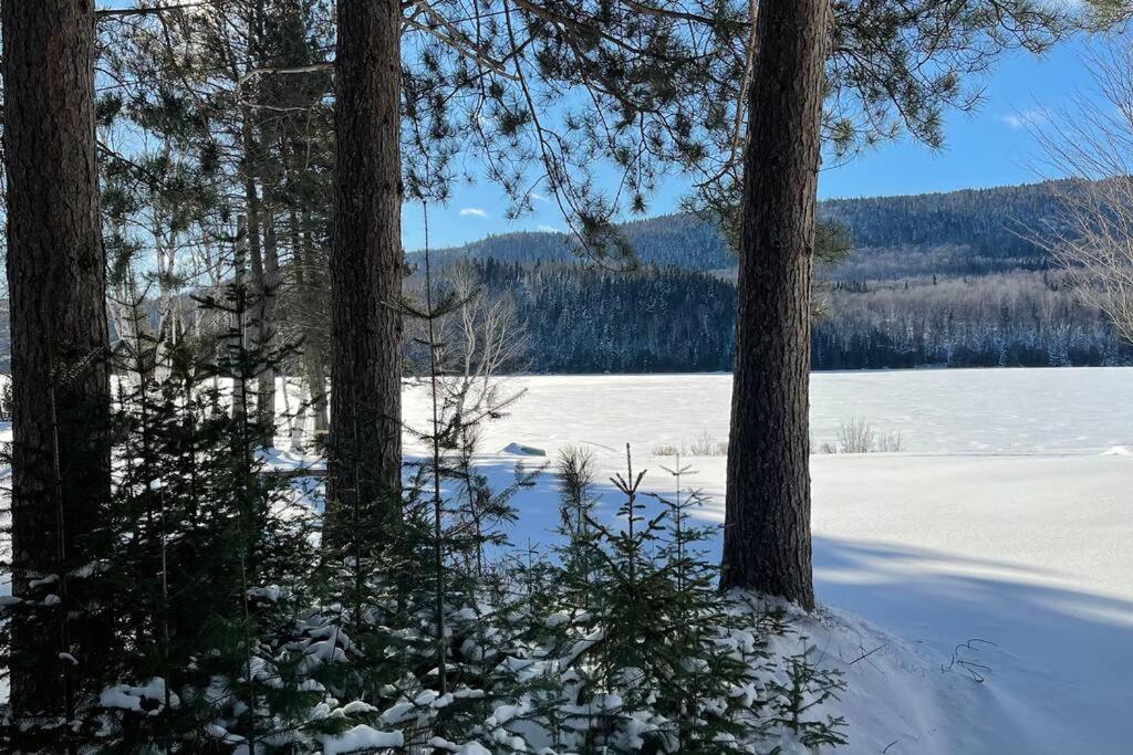 Chalet le Huard directement au bord du lac Saint-Zénon Extérieur photo